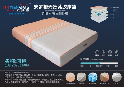 鴻運(yùn)20232308A